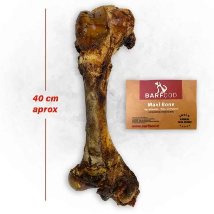 Snack natural maxi bone vacuno 1 un Barfood
