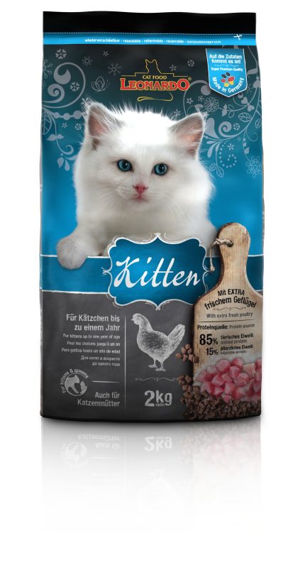 Leonardo kitten (gatito) 2 kg.